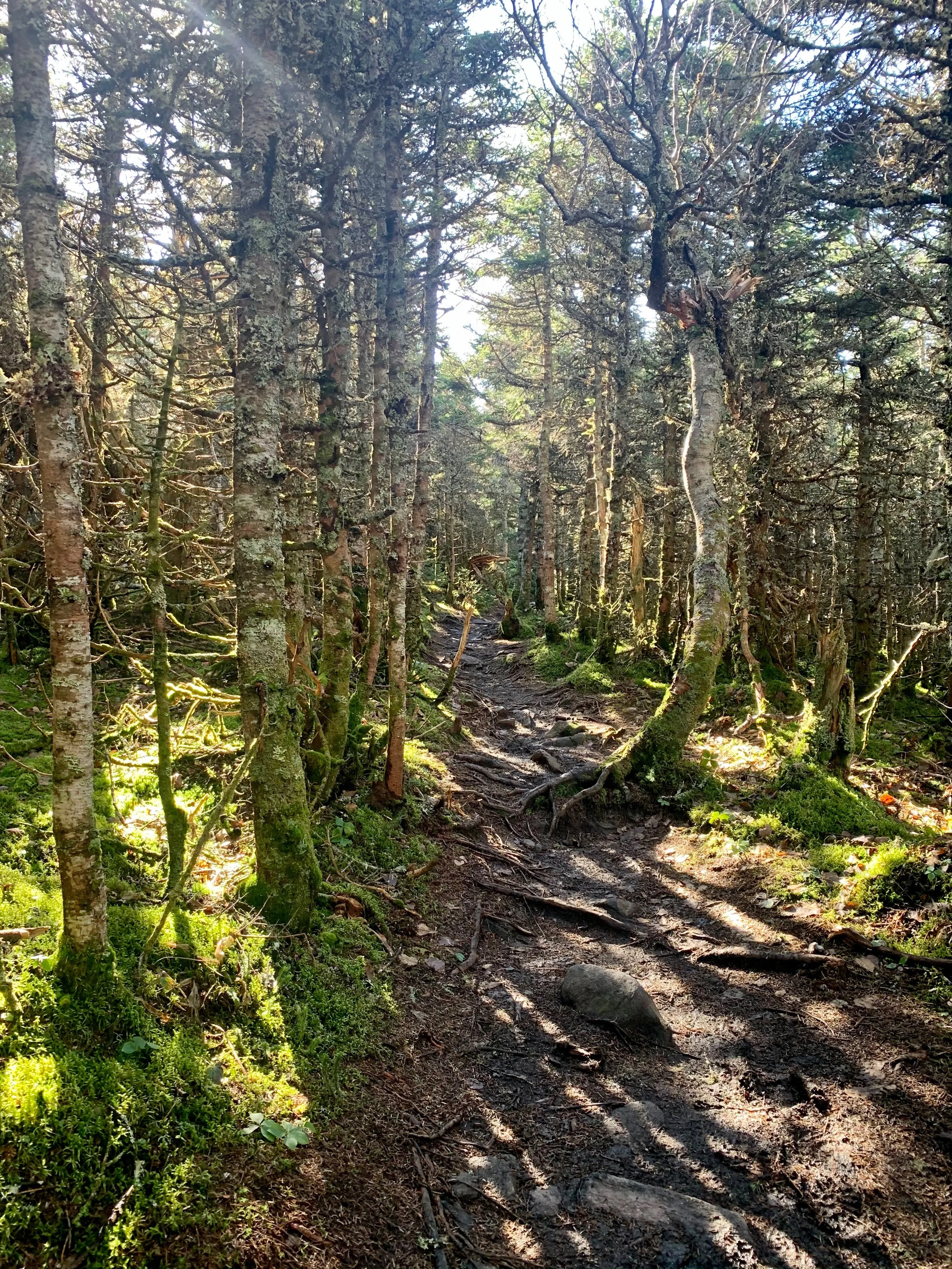 Bare Bums & Snowboards OnlyFans leaks