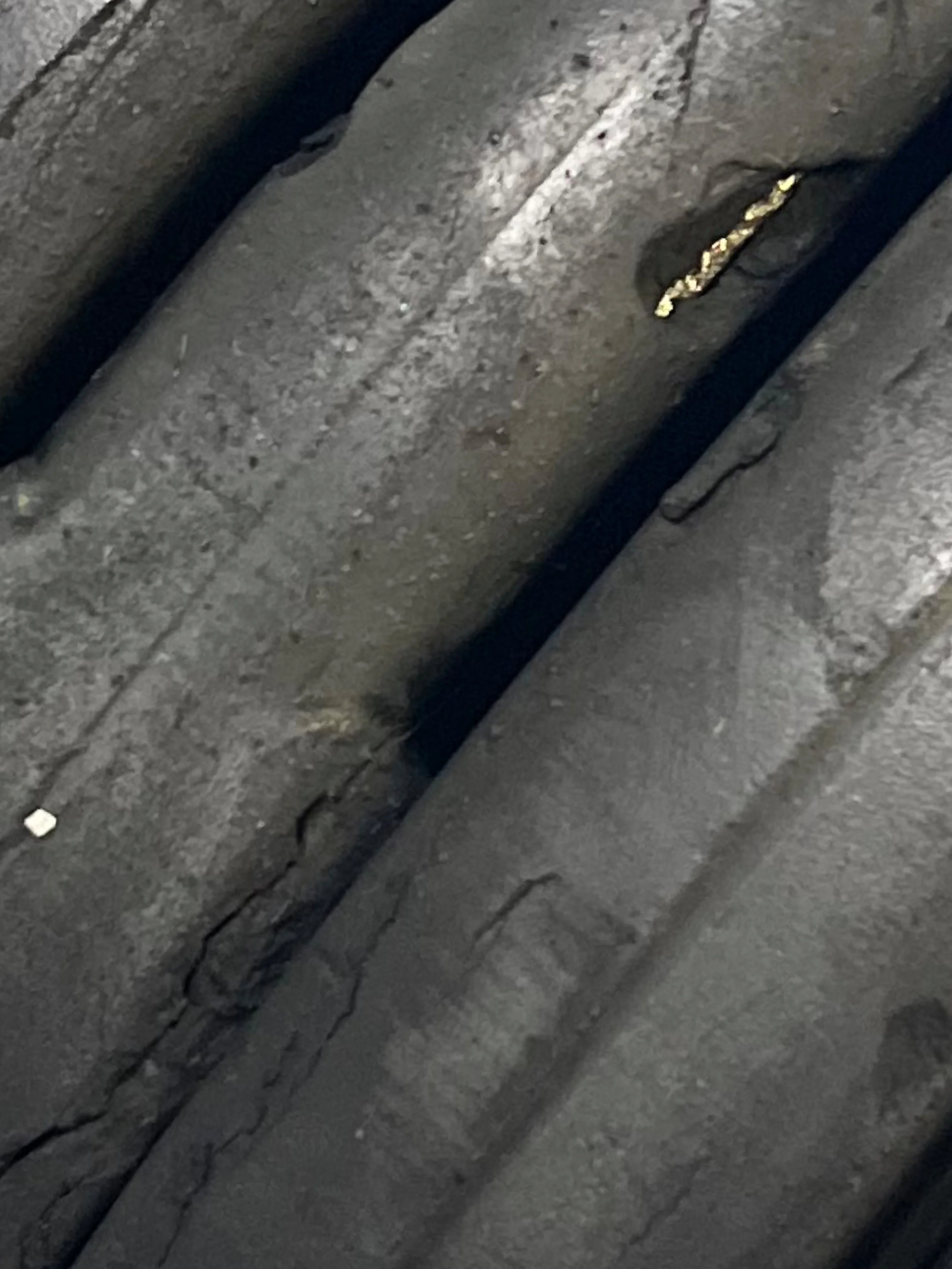 u208317100 OnlyFans leaks