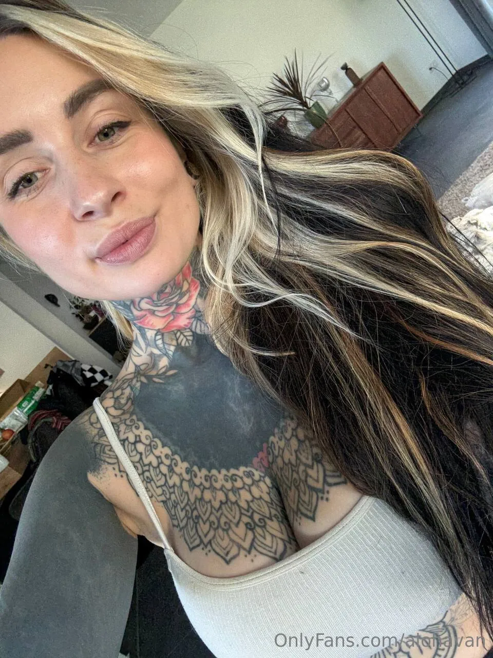 Alohavan🌊 photo #1