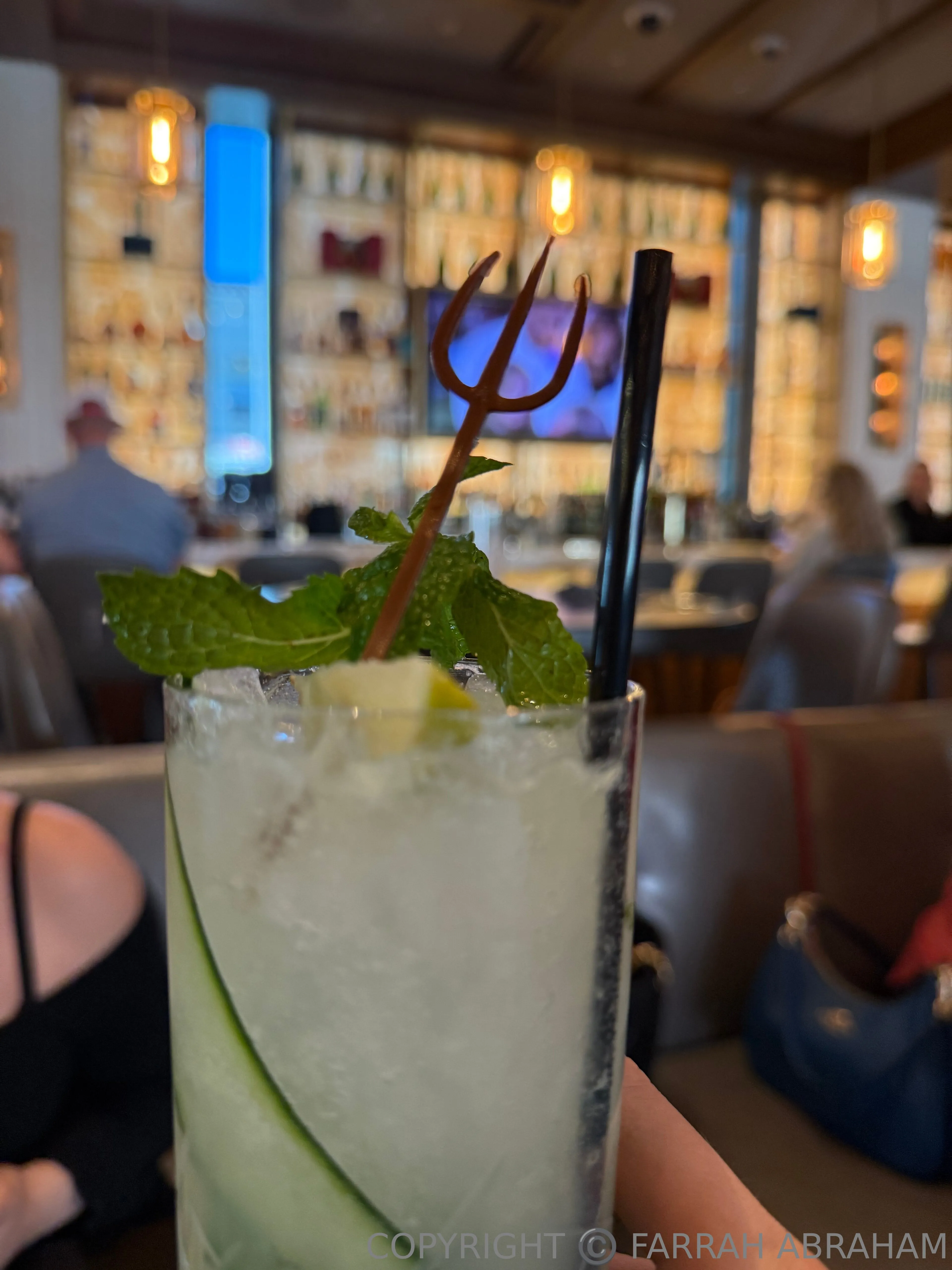 FARRAH ABRAHAM photo #15