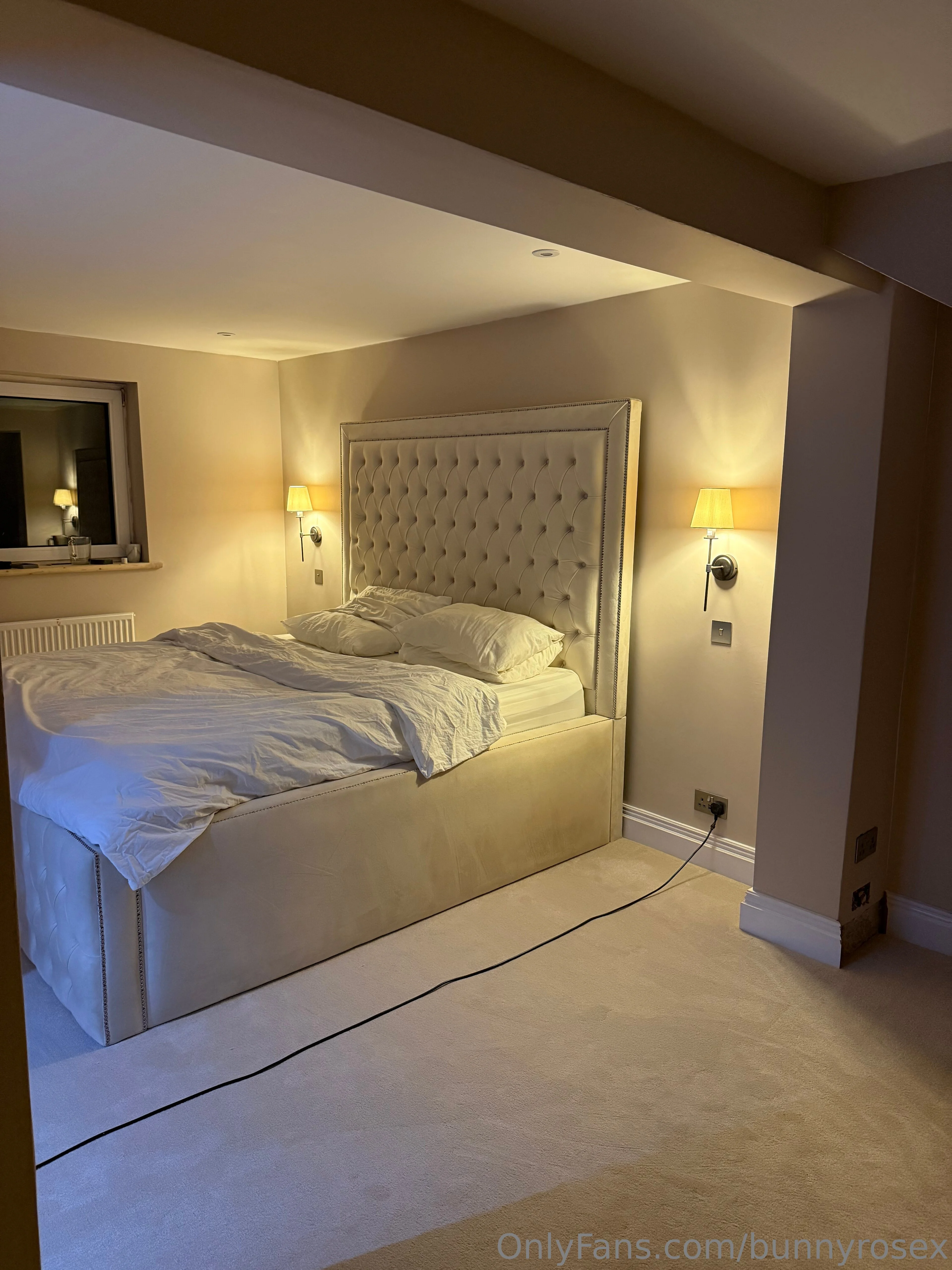 Bunny Rose 🐰🌹❤️ photo #19