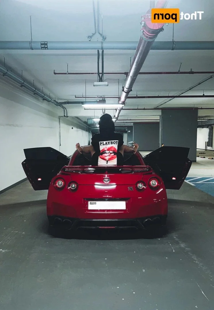 StallionFree 🐎 photo #8