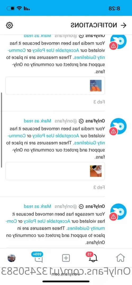 StallionFree 🐎 photo #19