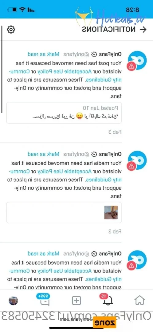 StallionFree 🐎 photo #20