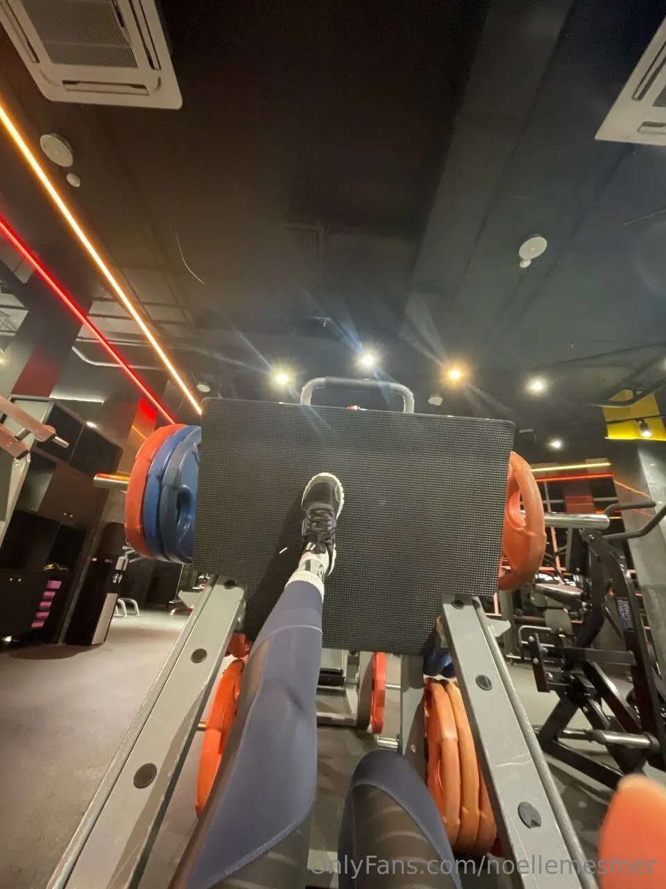 ✨Noelle✨ photo #38