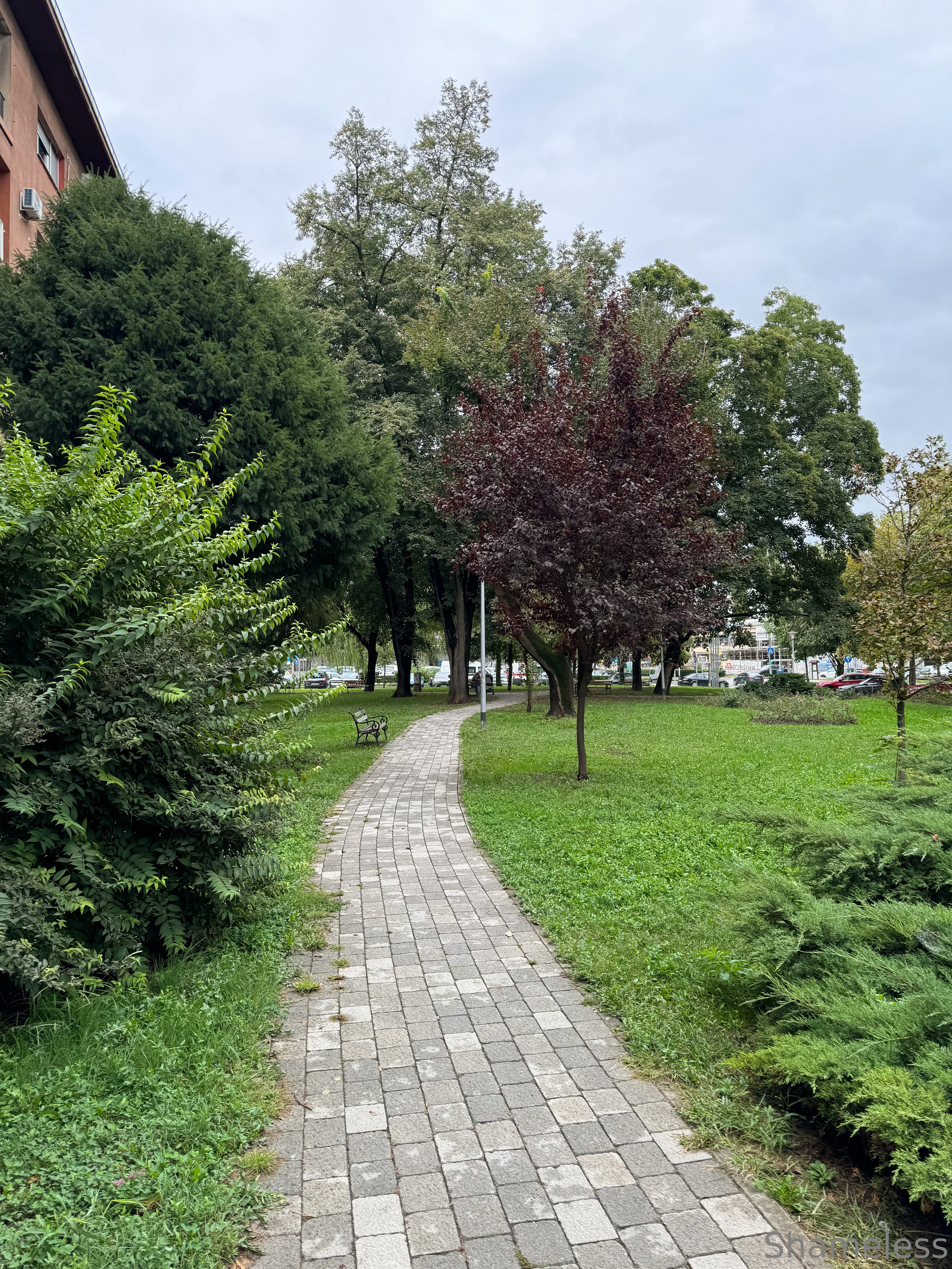 Shameless SG photo #40