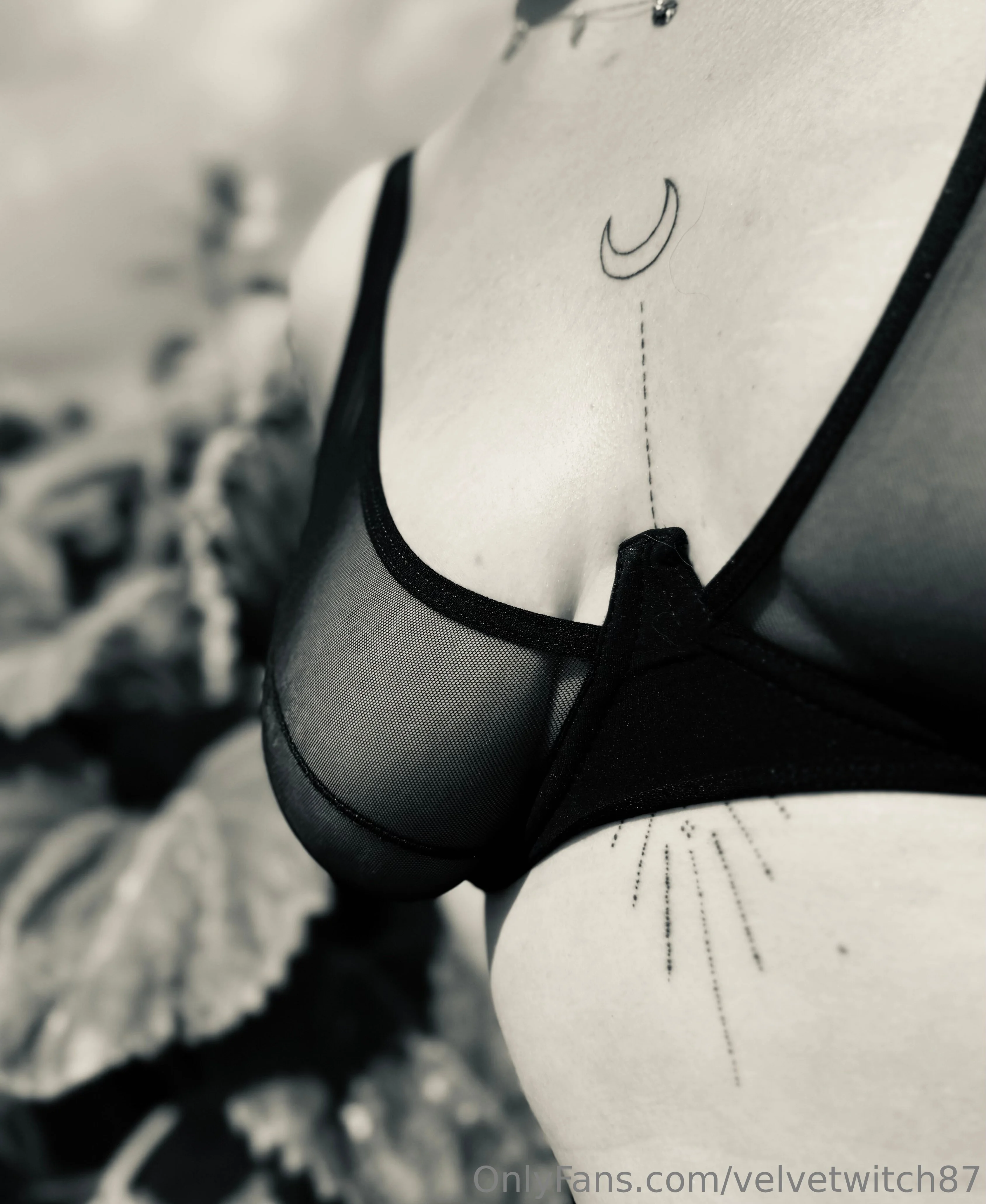 VelvetWitch photo #22