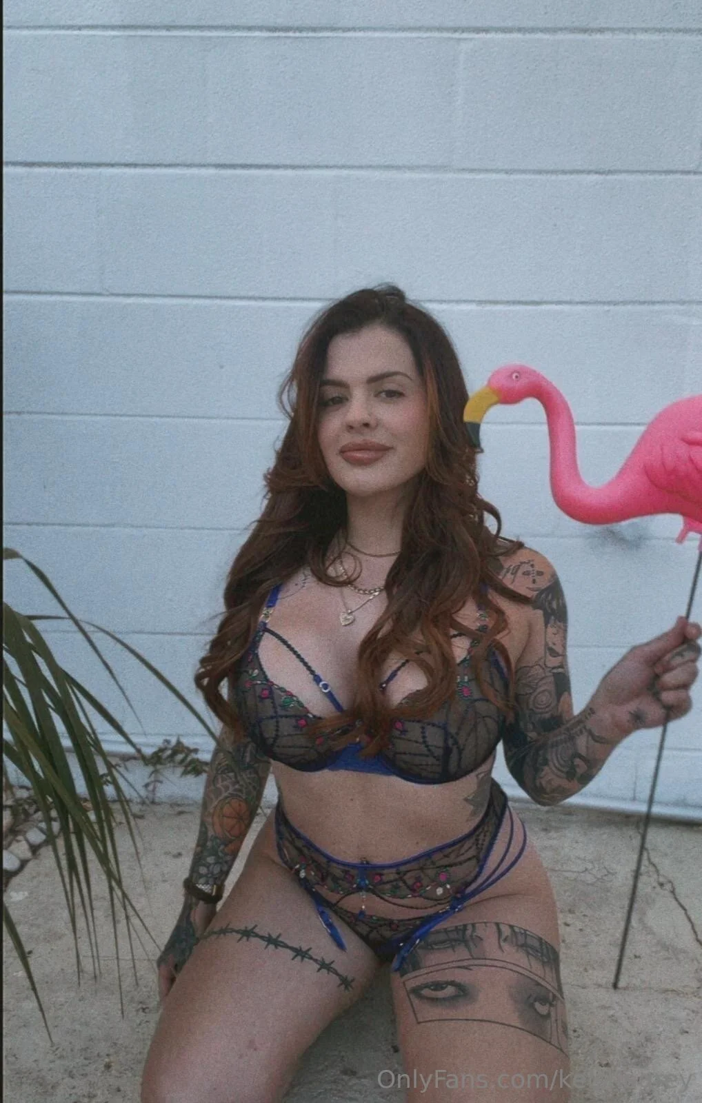 Keisha Grey photo #41