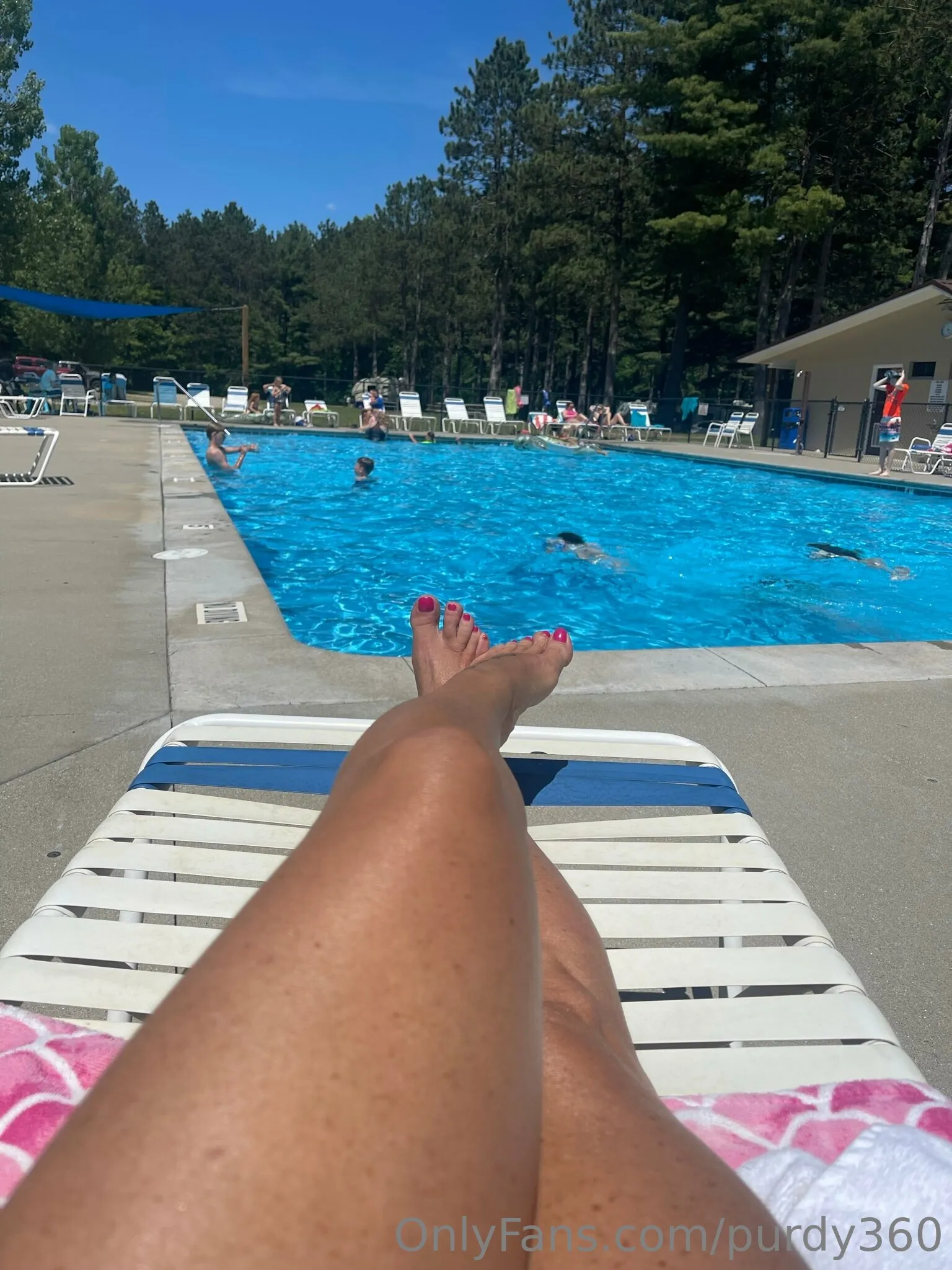Purdy photo #9