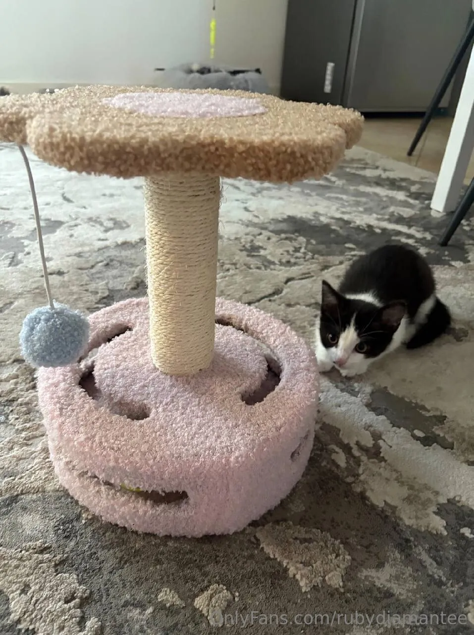 💜 𝑹𝒖𝒃𝒚 ⚧️ 𝐓𝐒 💜 photo #11