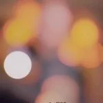 Nicole Aniston photo #24